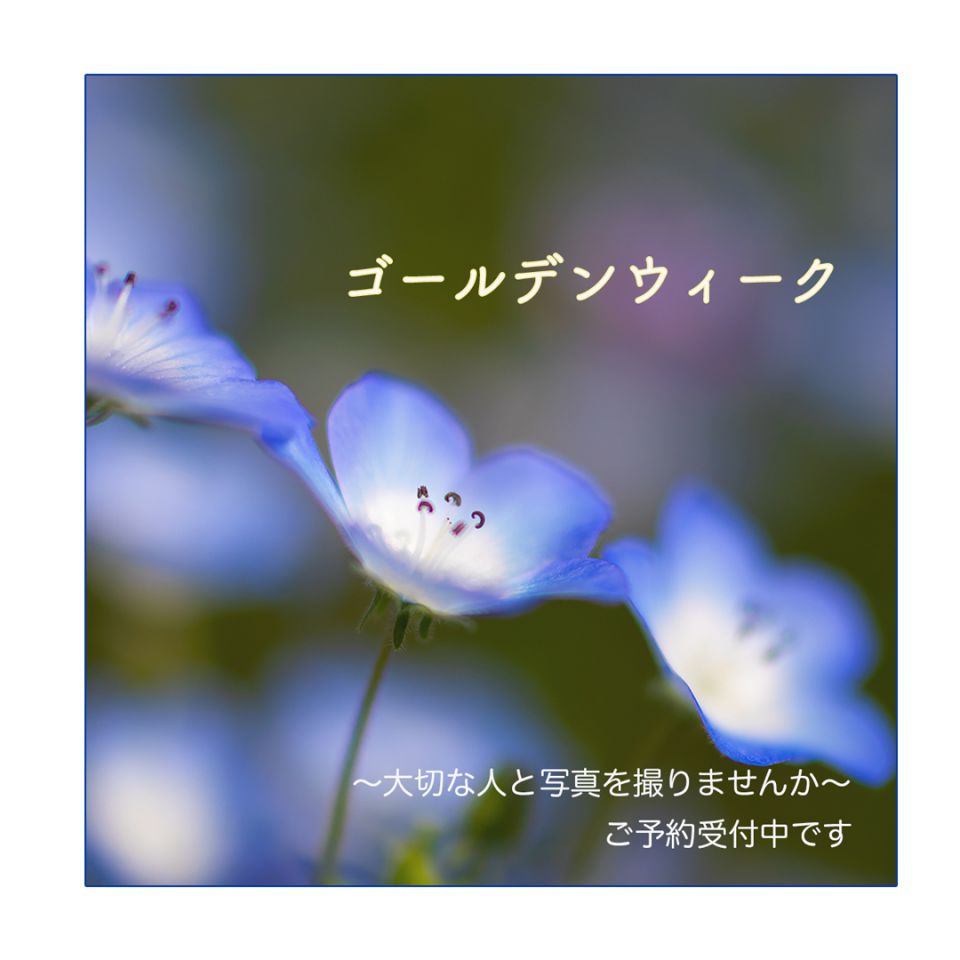 ゴールデンウィーク営業のお知らせの画像